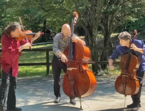 Gli strumentisti dell’Orchestra Classica di Alessandria in concerto domenica ad Arquata