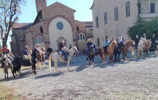 cairo horses pozzolo