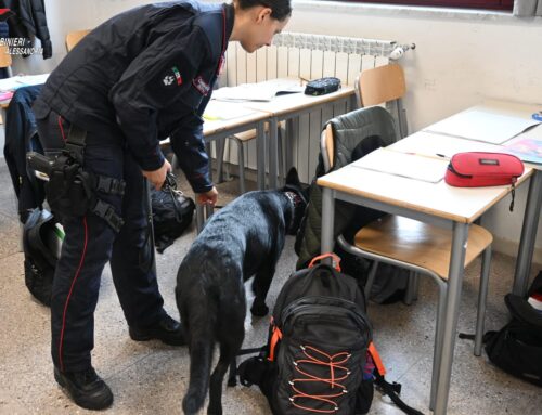 Controlli antidroga a scuola: segnalato un giovane del Liceo Amaldi per possesso di hashish