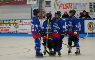 novi hockey regione