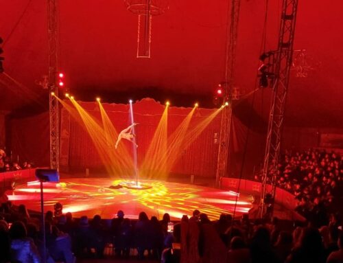 A Novi arriva il Circo Atmosphere, con ologrammi al posto degli animali: cambi alla viabilità